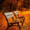 benches-560435_1280